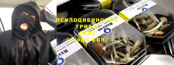 шишки Беломорск