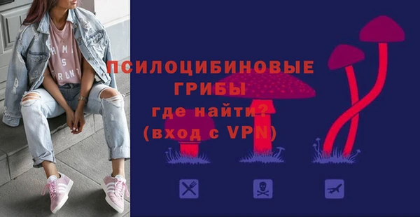 mdpv Протвино