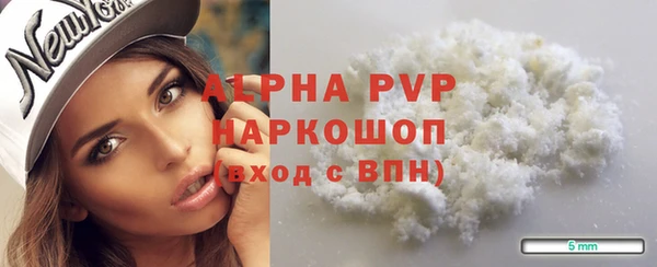 шишки Беломорск