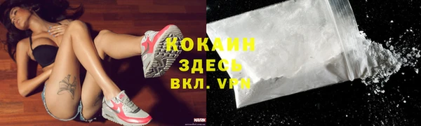 шишки Беломорск