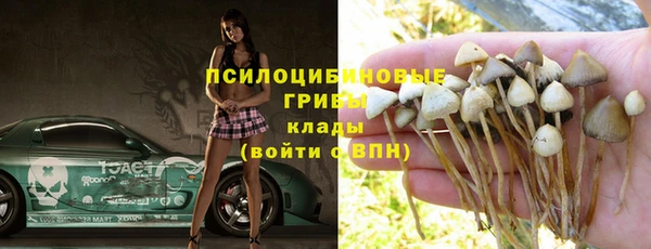 шишки Беломорск