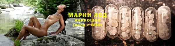 не бодяженный Белокуриха